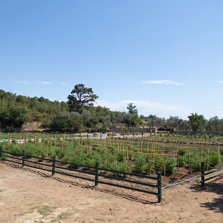 Leone Natural Ayvalı Εξωτερικό φωτογραφία