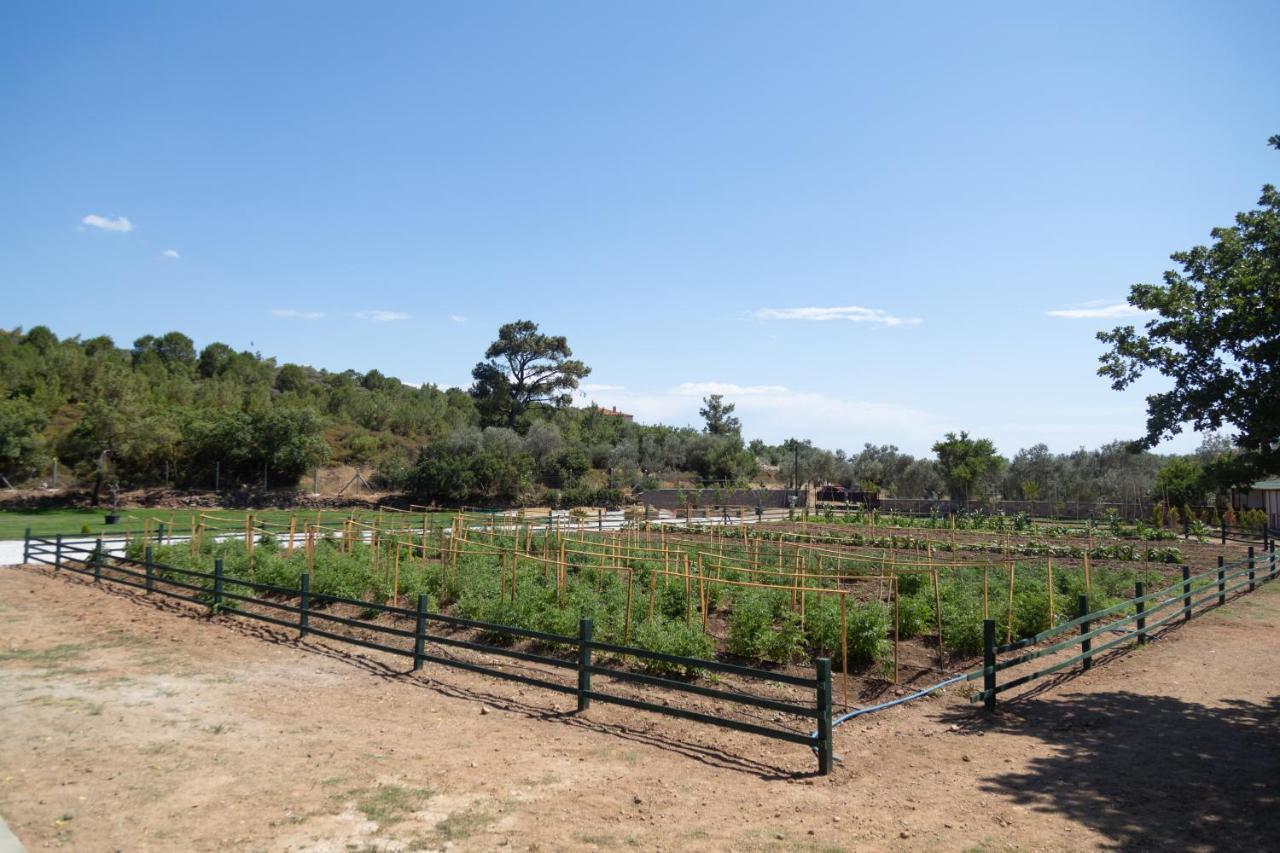 Leone Natural Ayvalı Εξωτερικό φωτογραφία